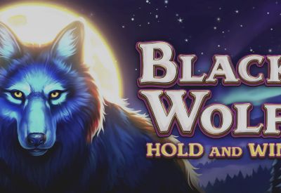 Black Wolf: Hold and Win